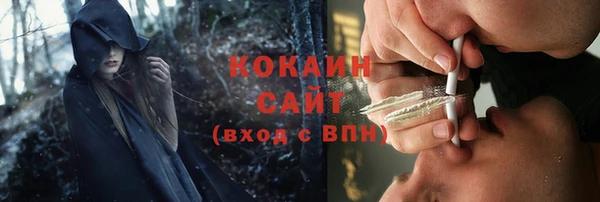 соль ск Пестово