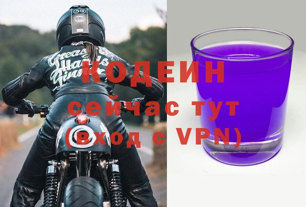 соль ск Пестово