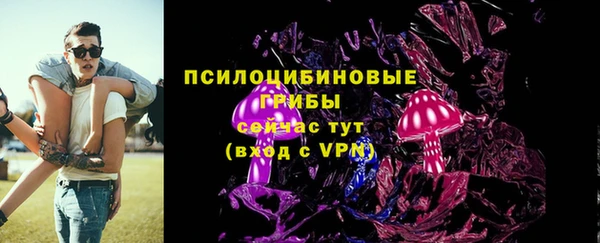 соль ск Пестово