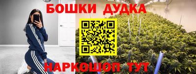 Альфа ПВП Аргун