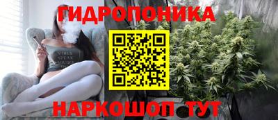 Альфа ПВП Аргун