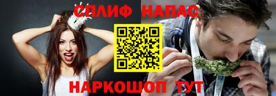 Альфа ПВП Бийск