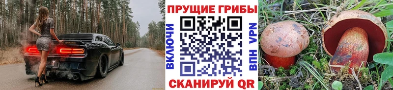 Галлюциногенные грибы Magic Shrooms купить наркотики сайты Богородицк