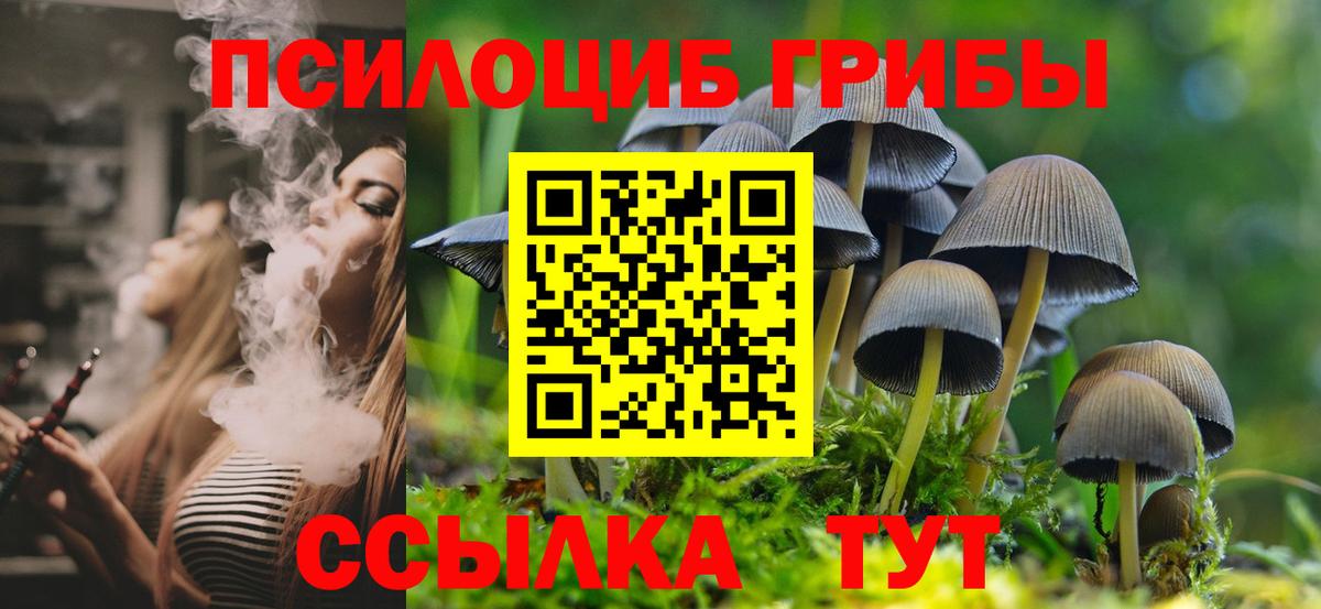 Псилоцибиновые грибы прущие грибы  Вход с VPN  Богородицк 